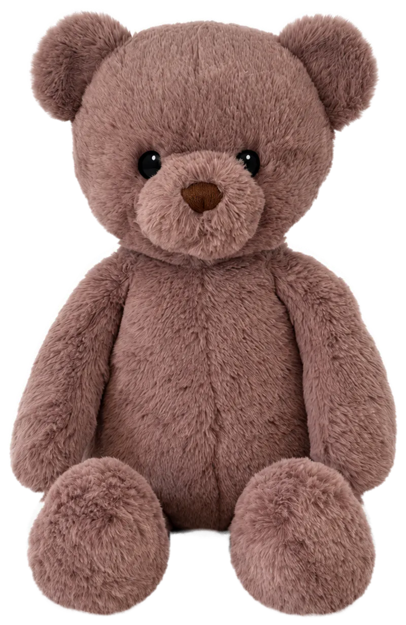 Arlo - The Courage Bear